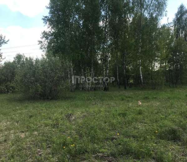Фото участка
