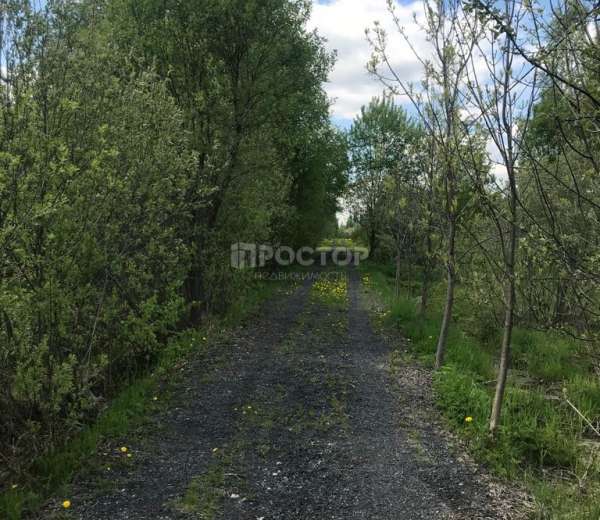 Фото участка