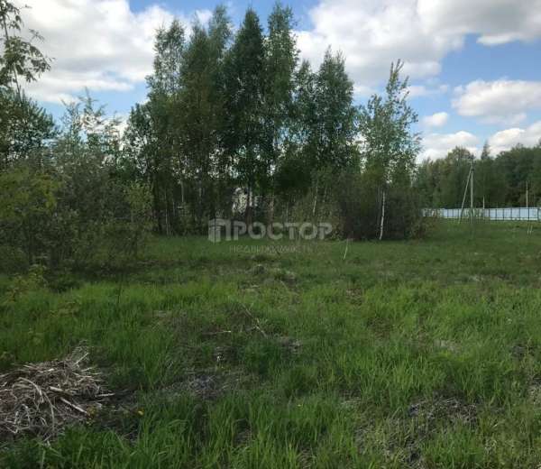 Фото участка