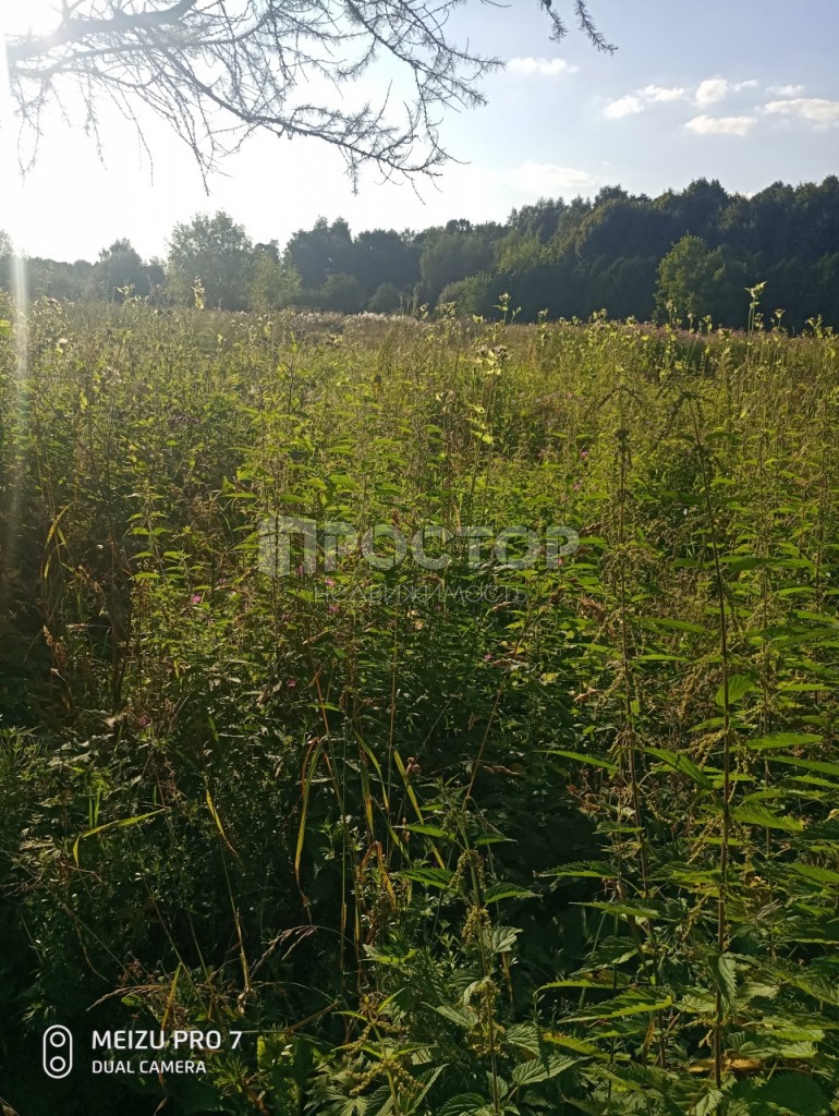 Участок, 11 сот. - фото 3