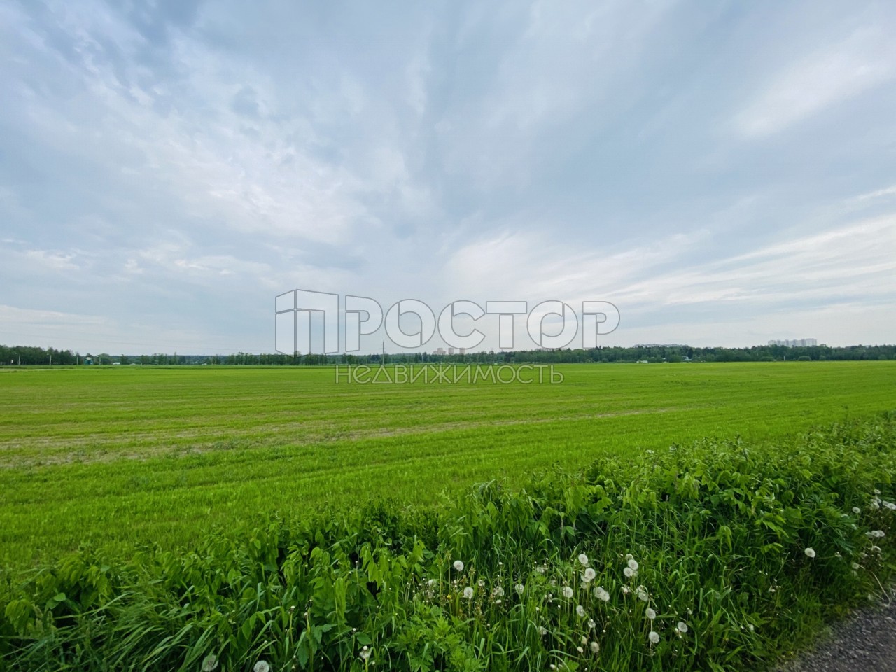 Участок, 10.3 сот. - фото 9