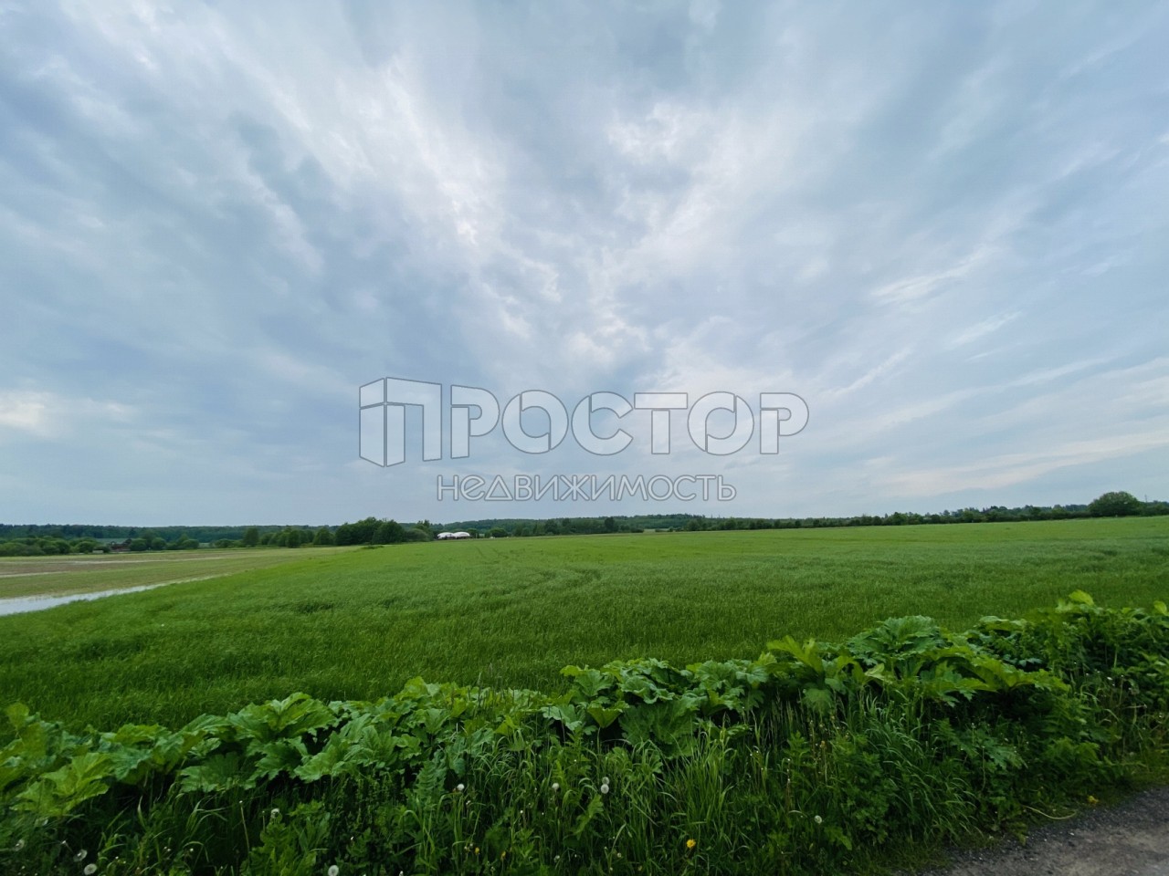 Участок, 10.3 сот. - фото 4