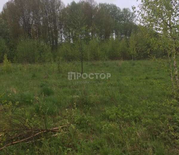 Фото участка