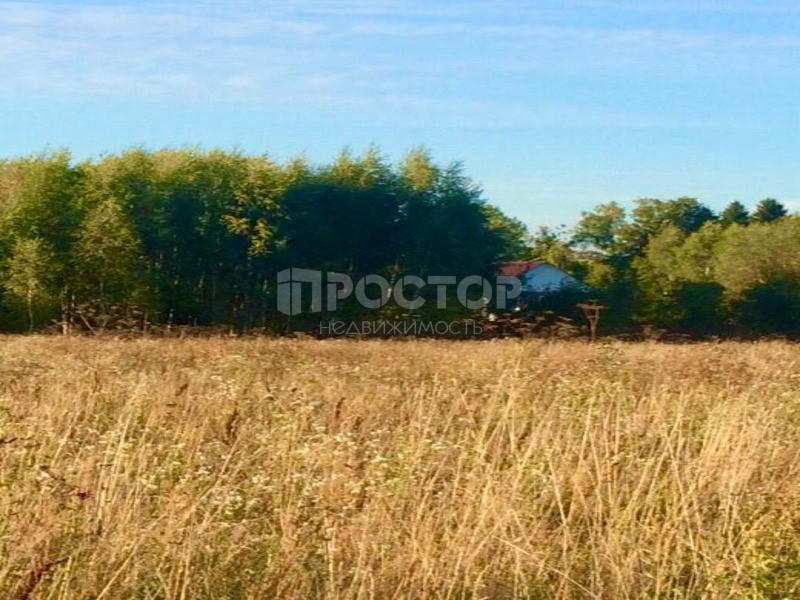Участок, 12 сот. - фото 3