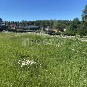 Фото участка