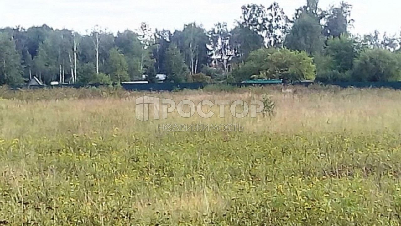 Участок, 640 сот. - фото 2