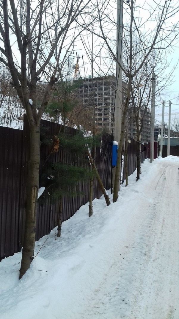 Участок, 13 сот. - фото 11