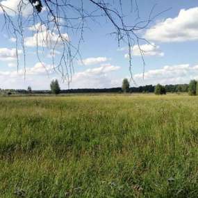 Фото участка