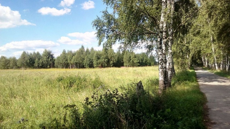 Участок, 1200 сот. - фото 2