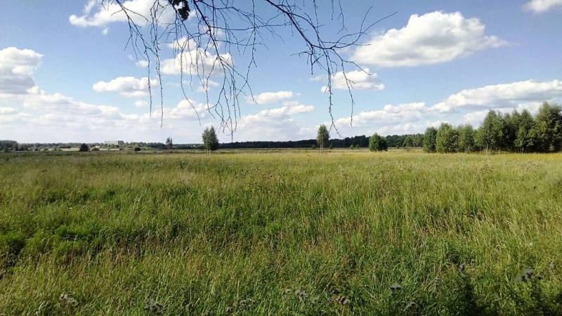 Участок, 1200 сот. - фото 5