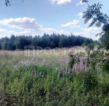 Купить земельный участок