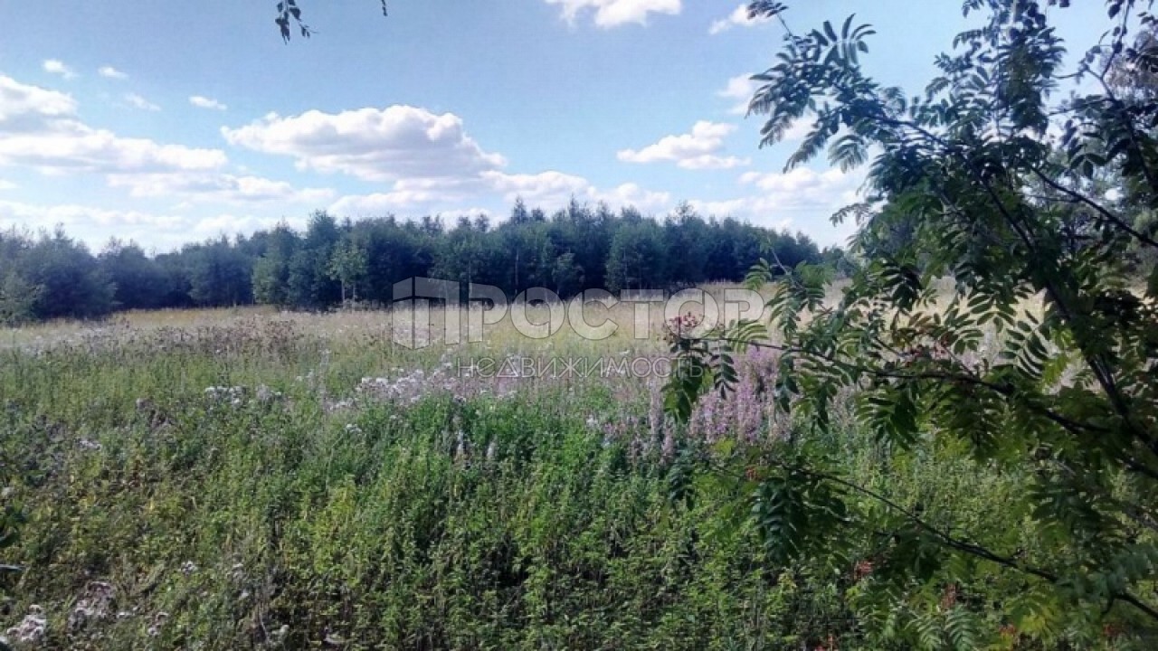 Участок, 522 сот. - фото 2