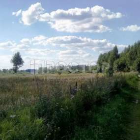 Фото участка