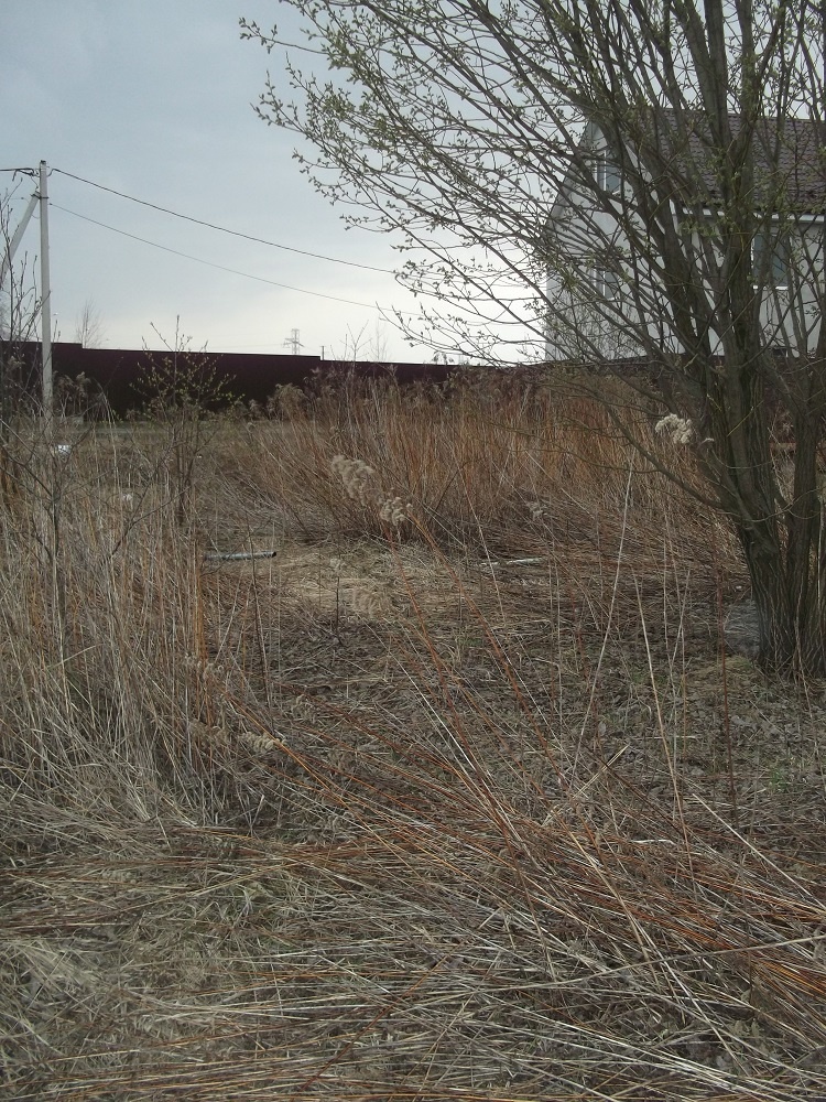 Участок, 16 сот. - фото 4