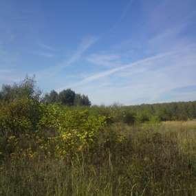 Фото участка