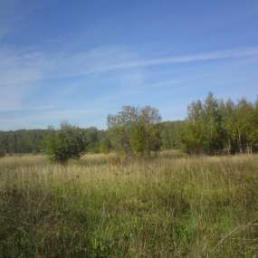 Фото участка