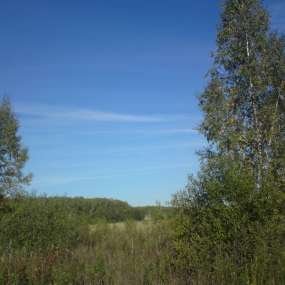 Фото участка