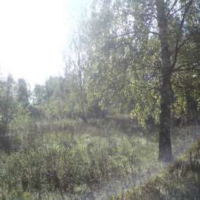 Фото участка