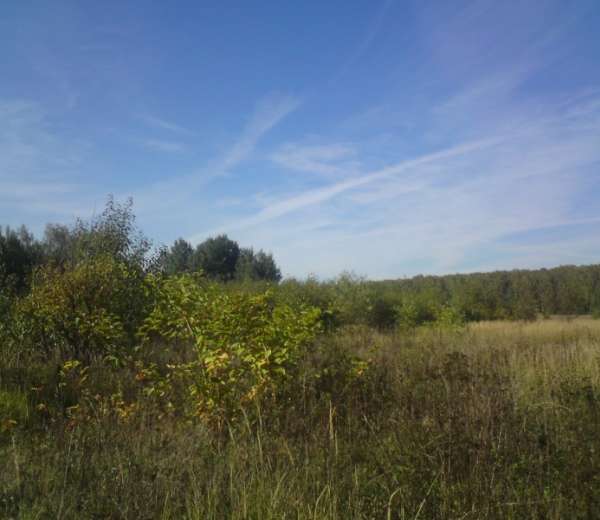 Фото участка