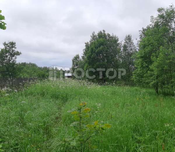 Фото участка