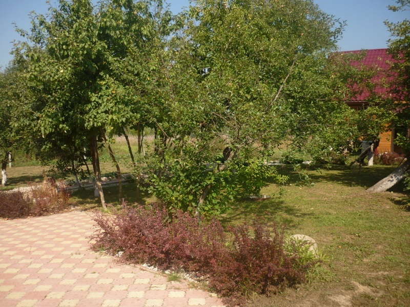 Участок, 22 сот. - фото 8