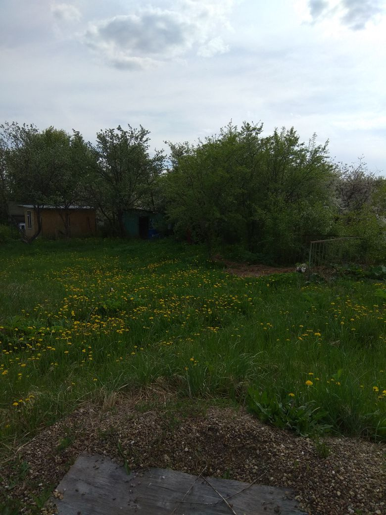 Участок, 5 сот. - фото 11