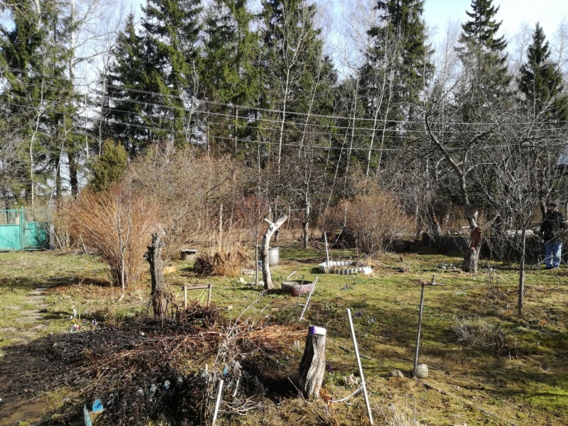 Участок, 6.3 сот. - фото 3