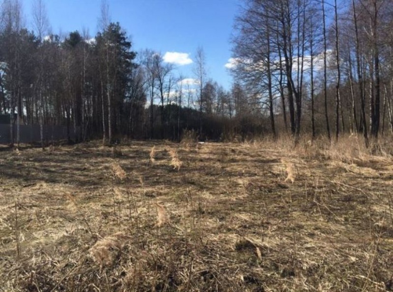 Участок, 11 сот. - фото 2