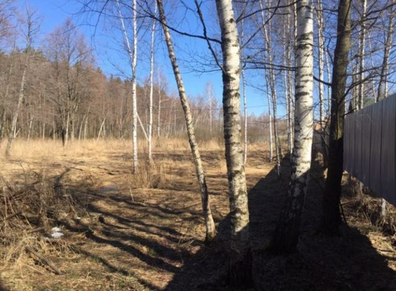 Участок, 11 сот. - фото 5