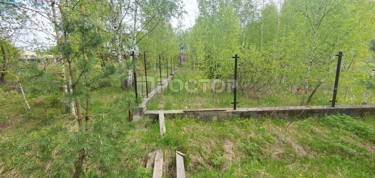 Участок, 26.6 сот. - фото 6