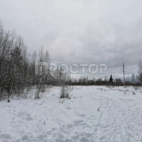 Фото участка