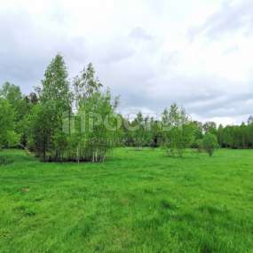 Фото участка