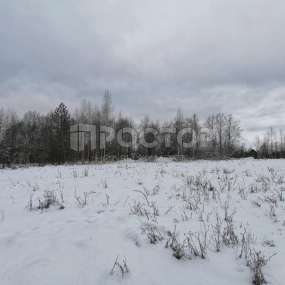 Фото участка