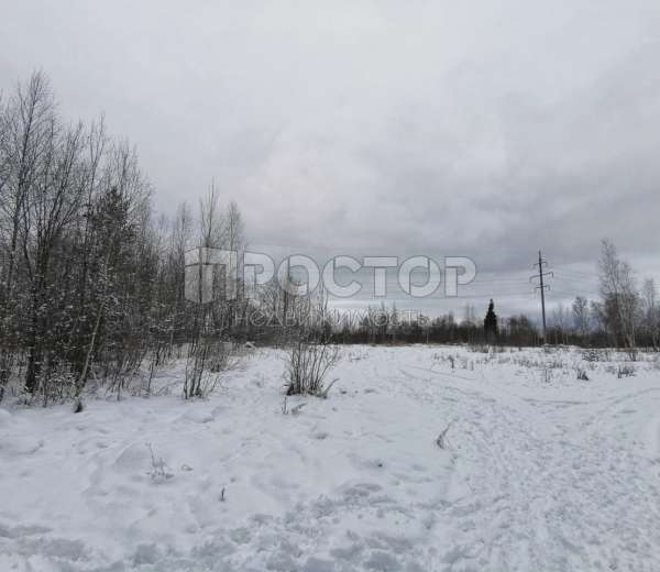 Фото участка