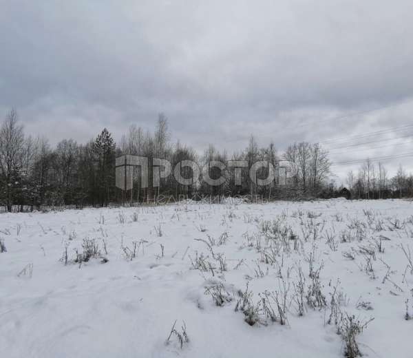 Фото участка