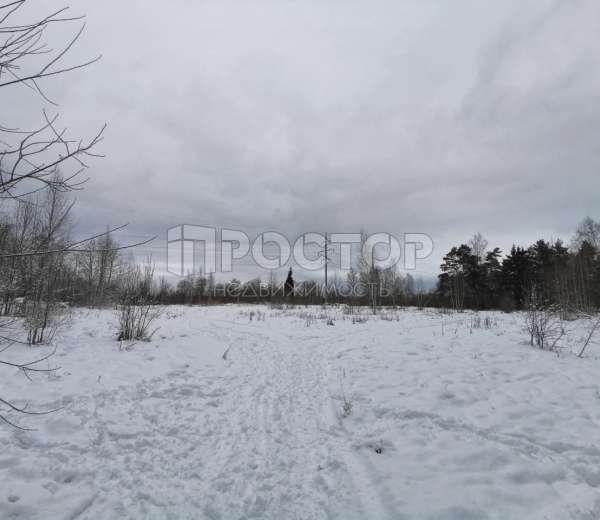 Фото участка