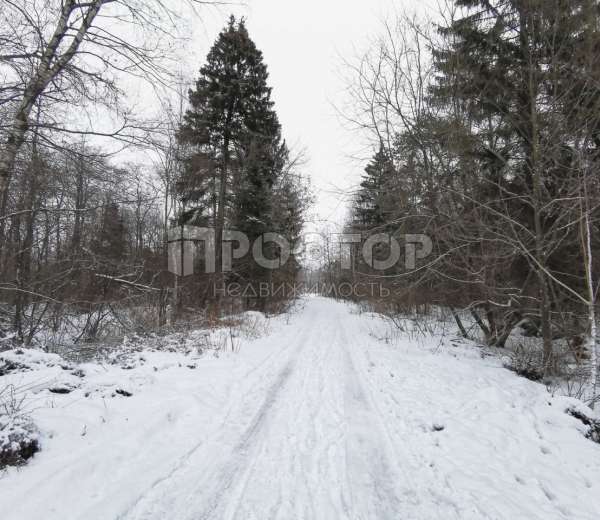 Фото участка