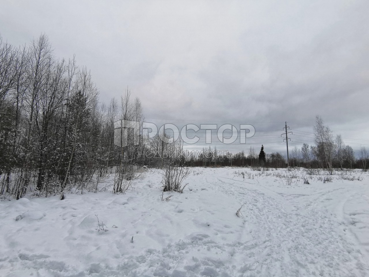 Участок, 80 сот. - фото 23