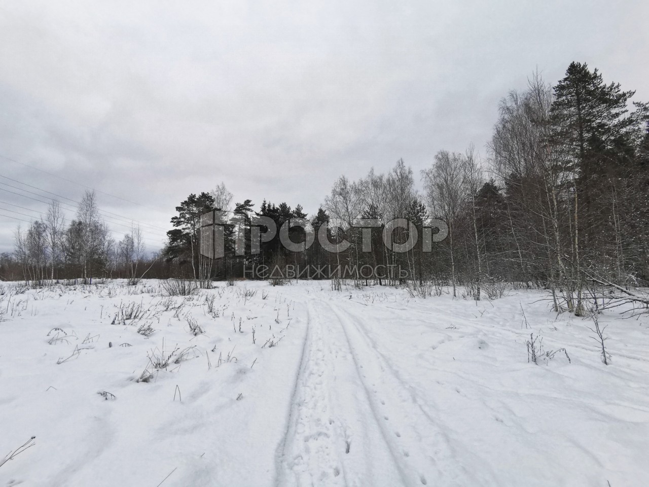 Участок, 80 сот. - фото 20