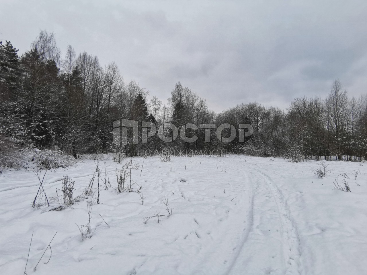 Участок, 80 сот. - фото 24