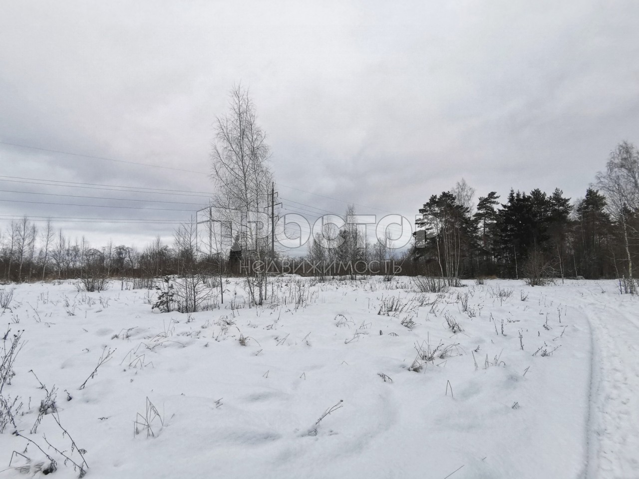 Участок, 80 сот. - фото 21