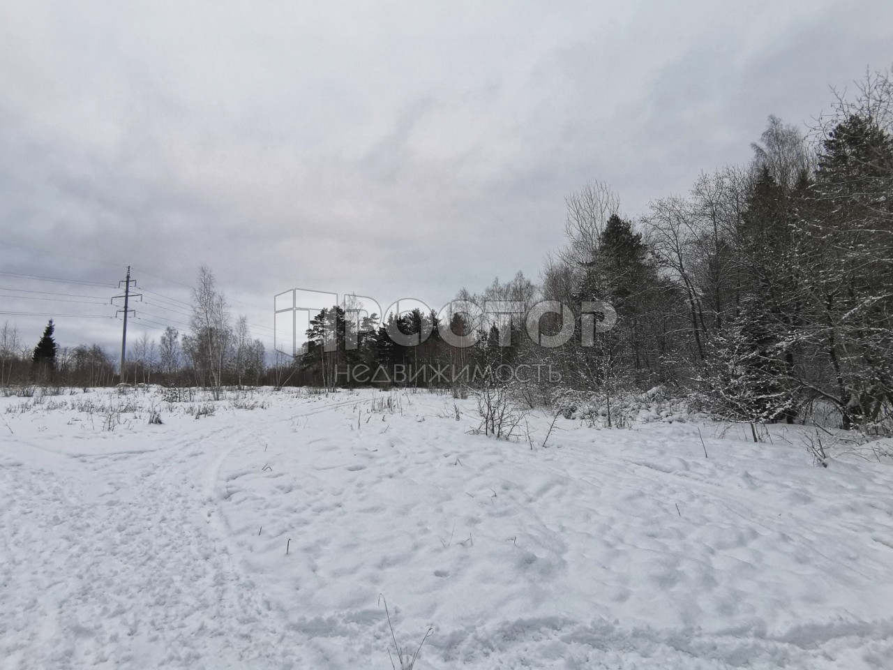 Участок, 80 сот. - фото 22