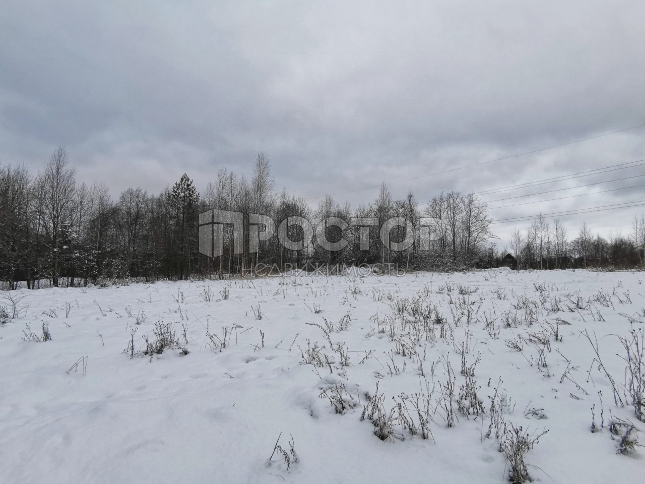 Участок, 80 сот. - фото 19
