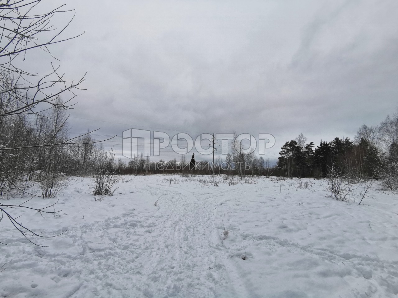 Участок, 80 сот. - фото 25