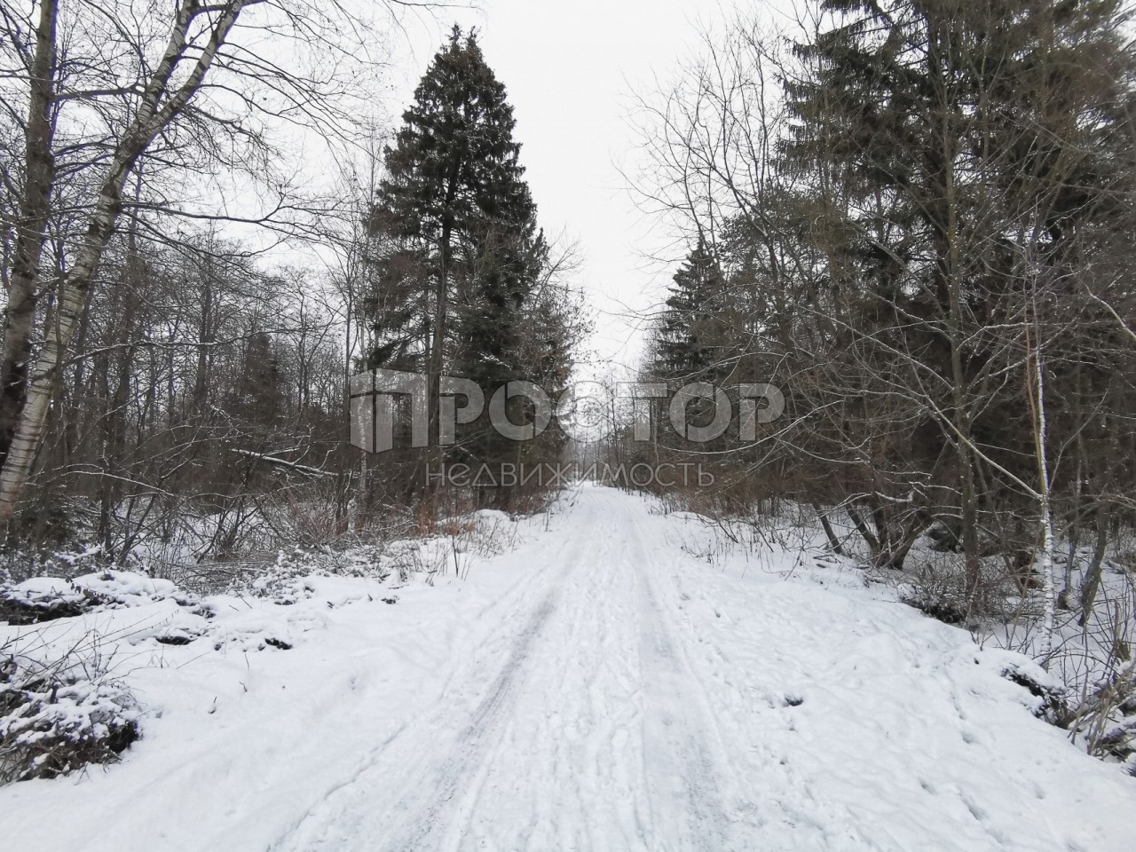 Участок, 80 сот. - фото 27