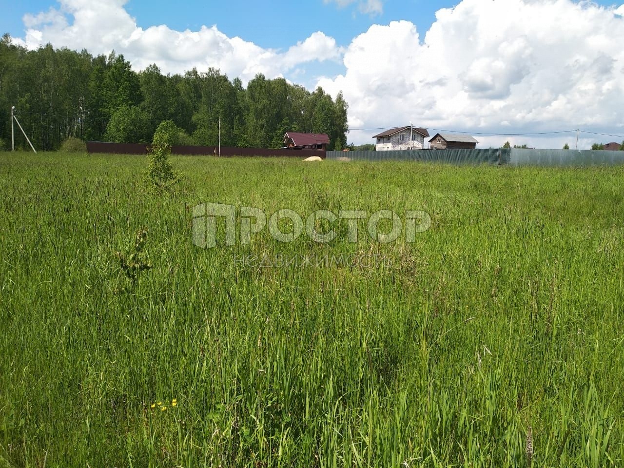 Участок, 25 сот. - фото 5