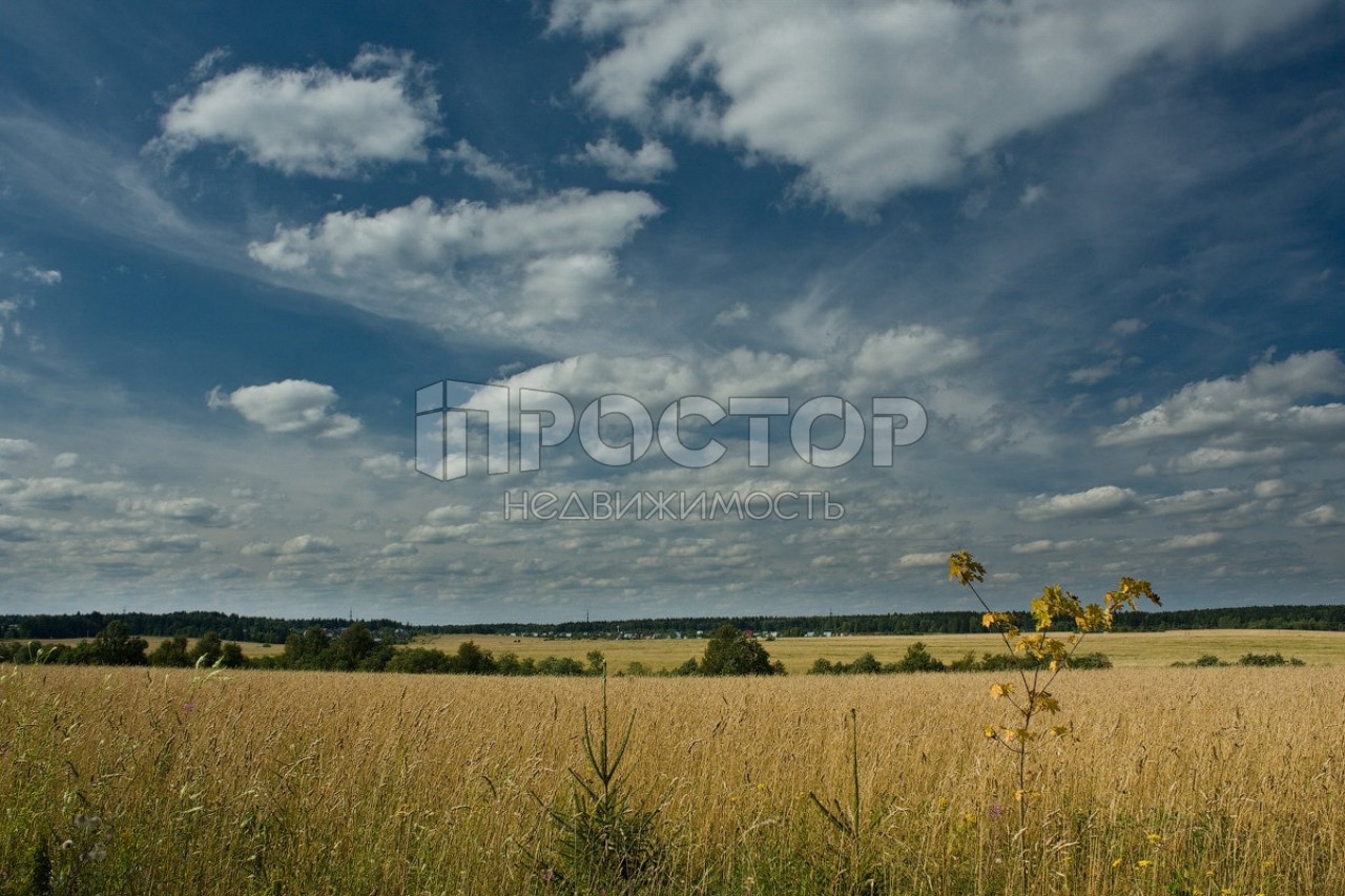 Участок, 9 сот. - фото 6