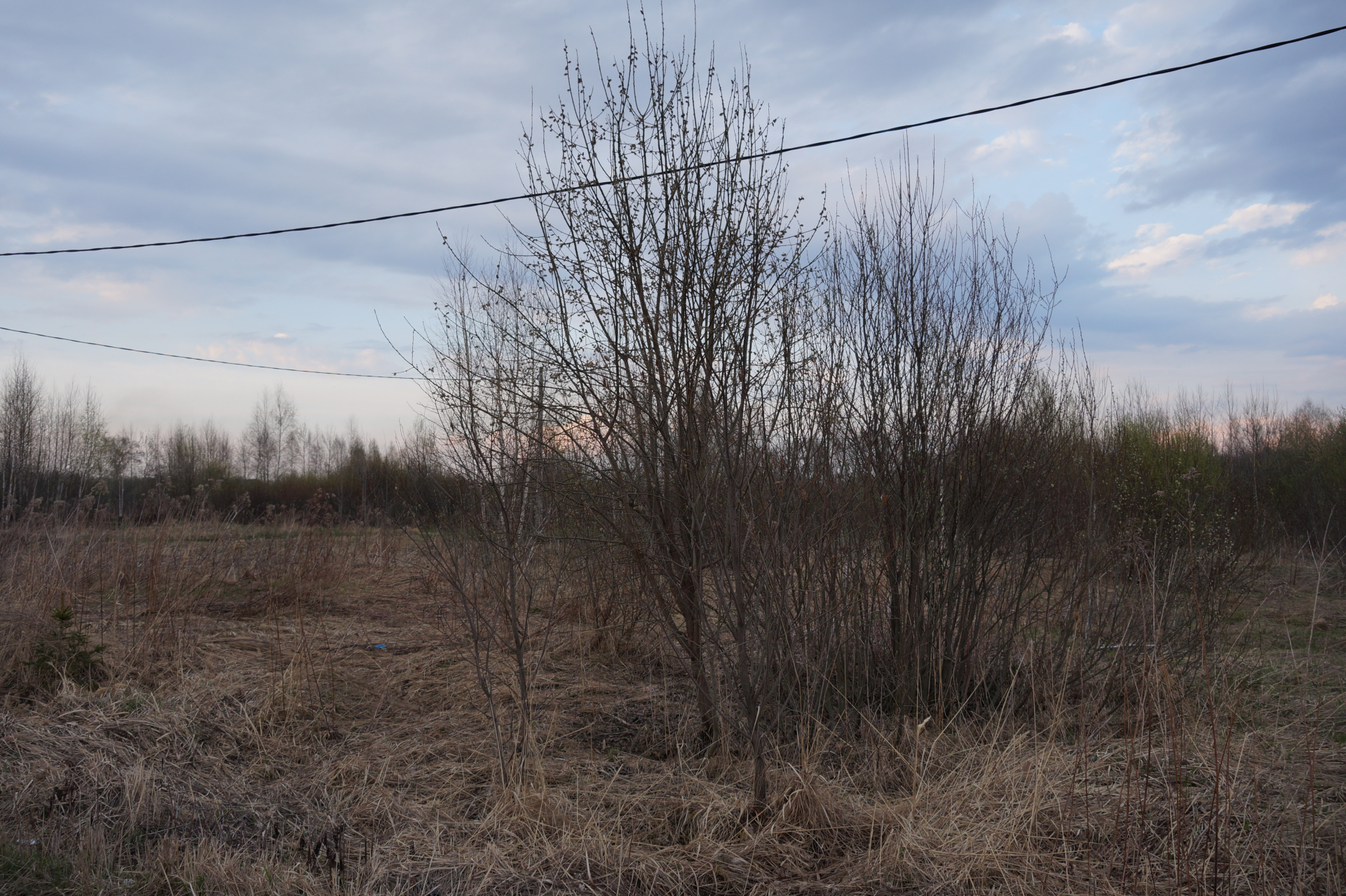 Участок, 10 сот. - фото 3