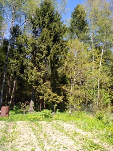 Участок, 6 сот. - фото 5
