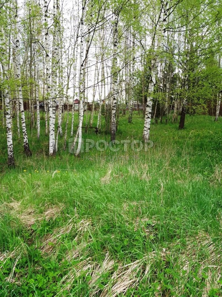 Участок, 10 сот. - фото 5